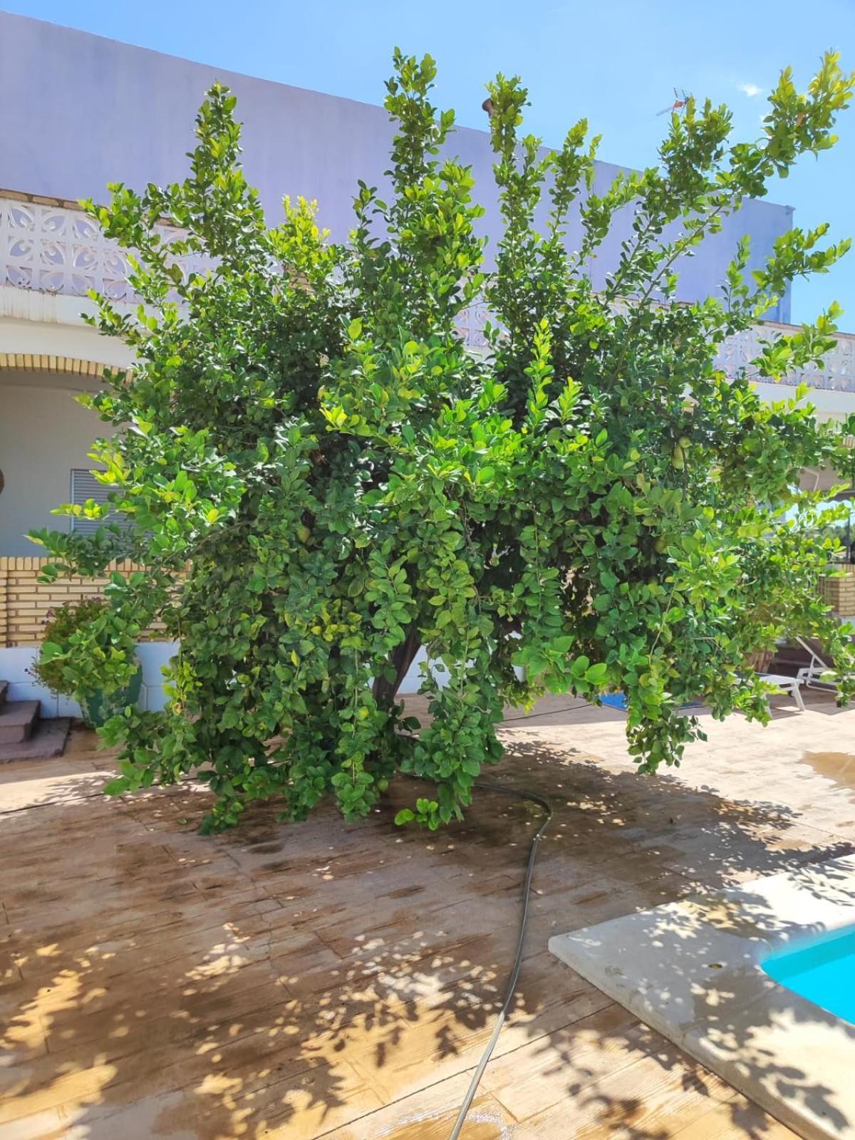 El Recreo, Private Pool & Bbq Villa Godelleta Ngoại thất bức ảnh